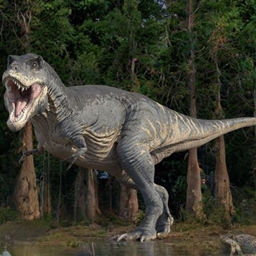 dinosaur x D rex logo