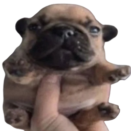 OGPibbCraft logo