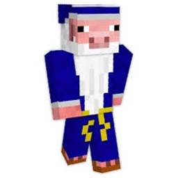 PERFECT PIGCRAFT project image