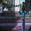 ScrollCraft Elemental RPG logo
