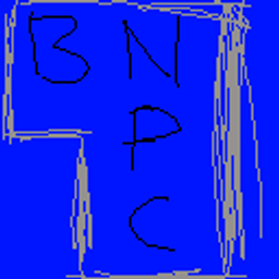 BNPC project image