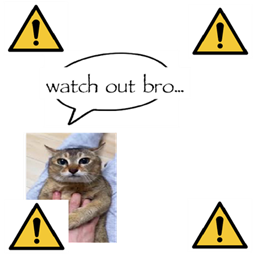 Watch Out Bro project image