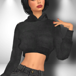 EVLY CROP HOODIE V2 project image