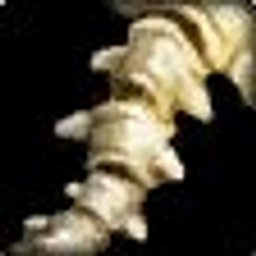TBC Item Proc project image