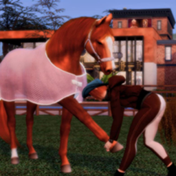 AliceBOUG Horse care - Osteopath and vet for horses Career / translation spanish by Monisims logo