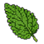 Ageratum logo