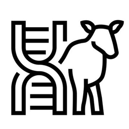 Genetic Testing project image