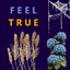 FeelTrue_so_Plenty logo