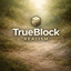 TrueBlock Realism logo