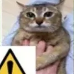 kitty creeper alarm logo