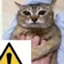kitty creeper alarm logo