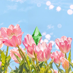 [Miss-K-Lo] - springtime bloom - loading screen