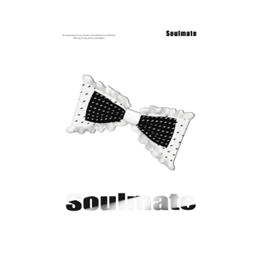 Soulmate_N78_Acc project image