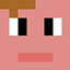 Minecraft: life project (earlyalpha) logo