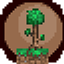 Craftia-Recall logo