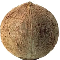 Coconut+ logo