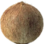 Coconut+ logo