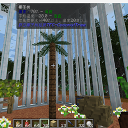 TFCCoconutTree logo