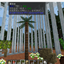 TFCCoconutTree logo