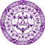 LucidityNexus Pack logo