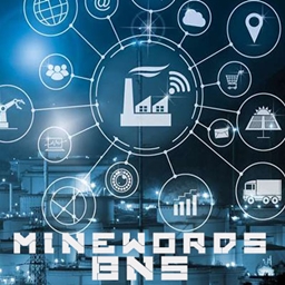 BNS-MineWorlds