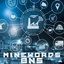 BNS-MineWorlds logo