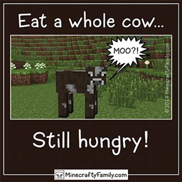 Enhanced Survival Fun logo