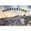 Modrya's Junk logo