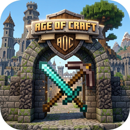Age Of Craft Mediavel Age project image