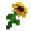 Wow Sunflowers! logo