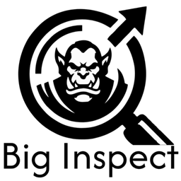 Big Inspect logo