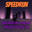 End-Fight Practice v1 logo