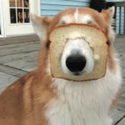 Buffi's Bread Dog project image