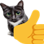 Catlike meme/Mega cool logo