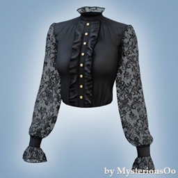 Lace sleeve victorian blouse logo