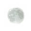 Mooni's Infection Survival logo