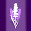 [1.21.1] Lavender Valley Modpack logo