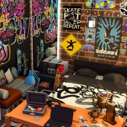 Skater Teen's Bedroom project image