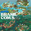 Save File Brasil com S logo