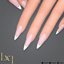 Two tone Short Stilettos logo