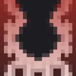 Octusa logo