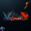 Velmora logo