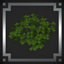 Bushy's Wild Expanded logo