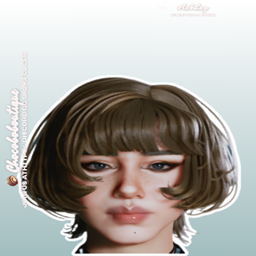 AshleyHair_295121A2 logo
