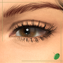 Sydney 3D Lashes logo