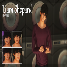 Liam Shepard logo