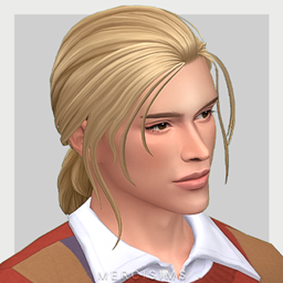 Diego Hairstyle by Mercisims logo