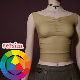 Setsim top #2 logo