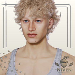 Niven Hair 70 - Illya Hair (Males) logo