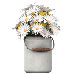 KHD Saffron Daisies logo